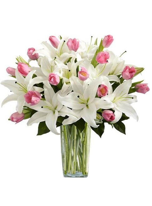 3627.jpg Tulip Lilies - Image 1
