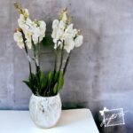 Orchid Opulence in Marbled Vase - Image 2