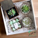 Enchanted Green Elegance Gift Box