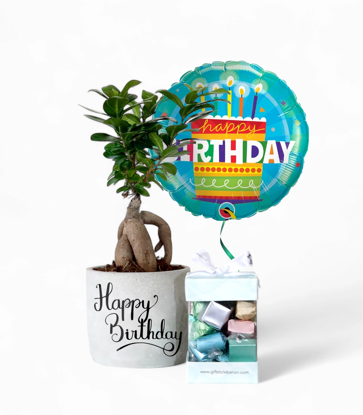 Birthday Bonsai Birthday Bonsai and Assorted Chocolates Bundle - Image 1