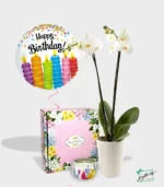 Double Stem White Orchids with Scented Candles Gift Set