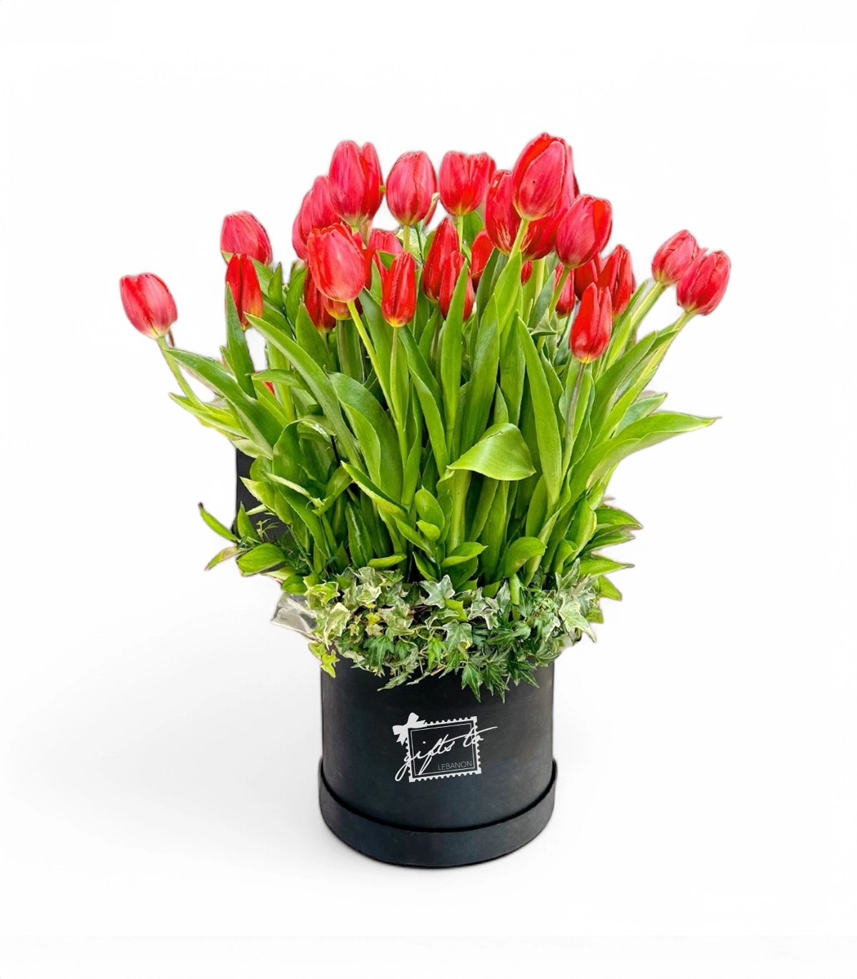 Passionate Red Tulips Passionate Red Tulips Garden - Image 1