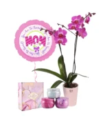 Double Stemmed Purple Orchids Bundle for Mom