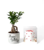 Bonsai & Buttercream Hearts Cake Bundle