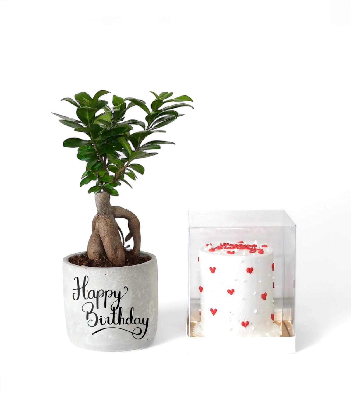 Birthday Cake aend Bonsai Bonsai & Buttercream Hearts Cake Bundle - Image 1