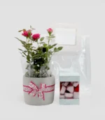Everlasting Love Baby Rose and Assorted Chocolates Bundle