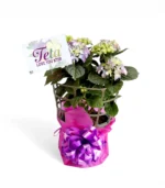 Purple Hydrangea Plant | 60CM - Image 2