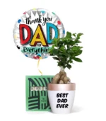 BEST DAD Ficus Bonsai & Patchi Chocolates Gift Set