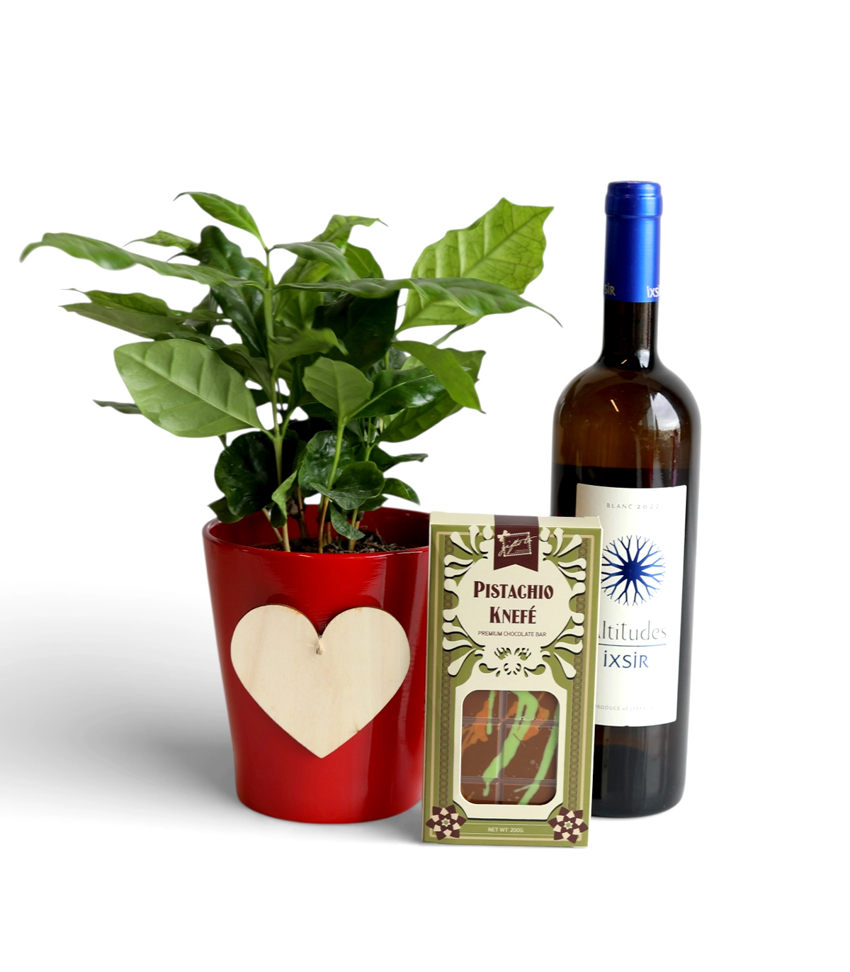 Coffee Plant Gift Set Love & Altitudes – Coffee Plant & Wine Gift Set - Image 1